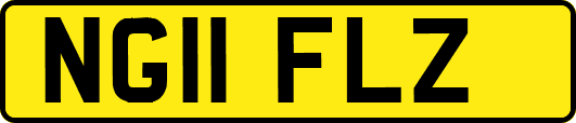 NG11FLZ