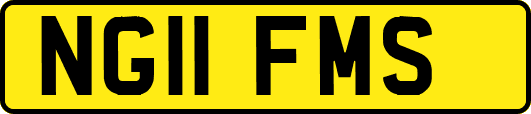 NG11FMS
