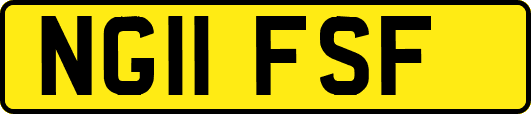 NG11FSF