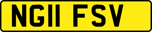 NG11FSV