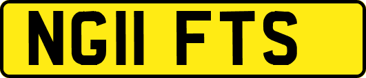 NG11FTS
