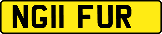 NG11FUR
