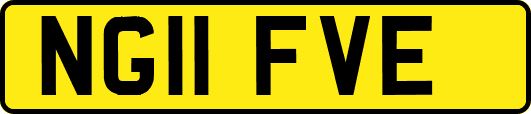 NG11FVE