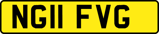 NG11FVG