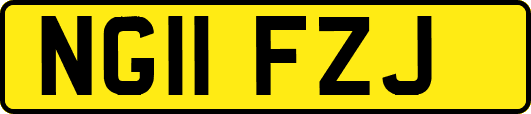 NG11FZJ