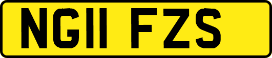 NG11FZS