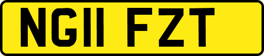 NG11FZT