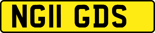 NG11GDS