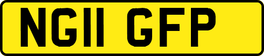 NG11GFP