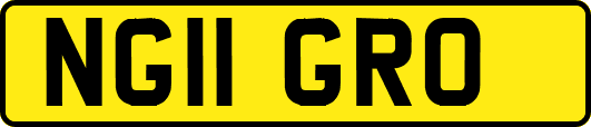 NG11GRO