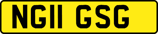 NG11GSG