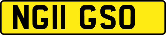 NG11GSO