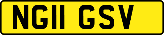 NG11GSV