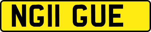 NG11GUE
