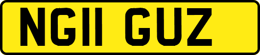 NG11GUZ
