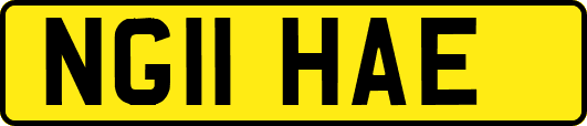 NG11HAE