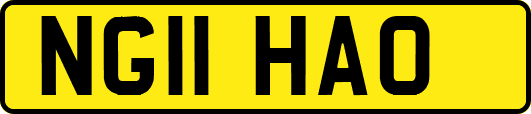 NG11HAO