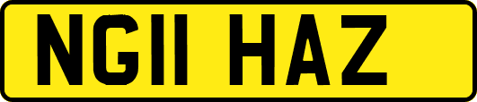 NG11HAZ