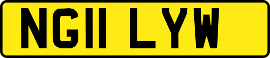 NG11LYW