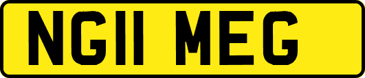 NG11MEG