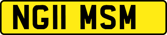 NG11MSM