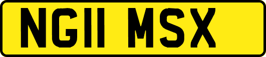 NG11MSX