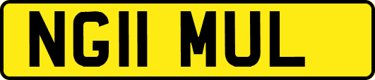 NG11MUL