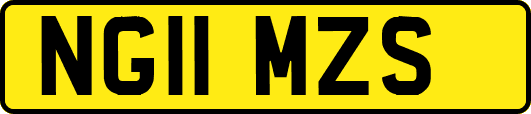 NG11MZS