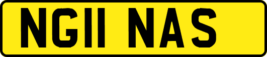 NG11NAS
