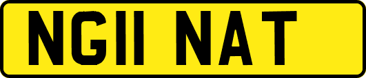 NG11NAT
