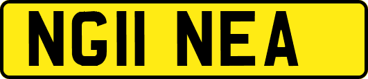NG11NEA