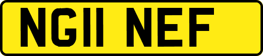 NG11NEF