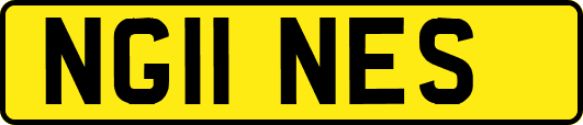 NG11NES