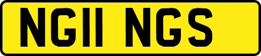 NG11NGS
