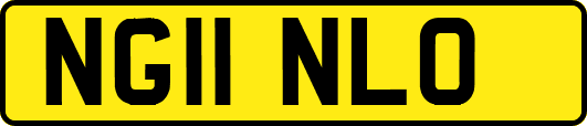 NG11NLO