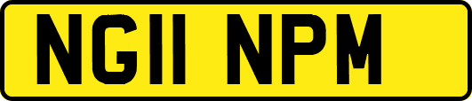 NG11NPM