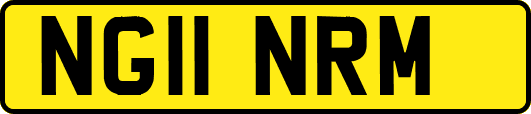 NG11NRM