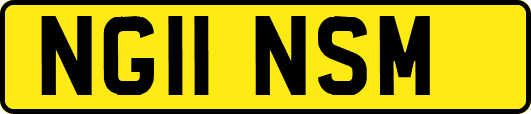 NG11NSM