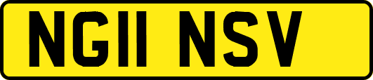 NG11NSV
