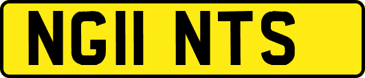 NG11NTS