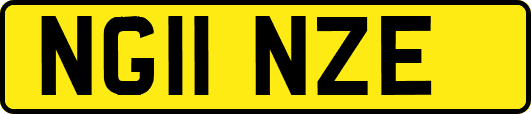 NG11NZE