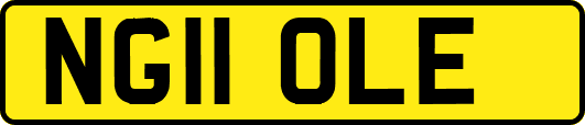 NG11OLE