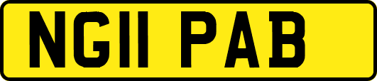 NG11PAB