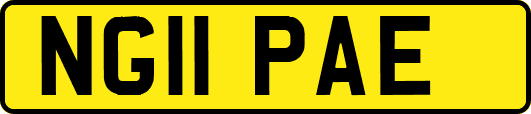 NG11PAE
