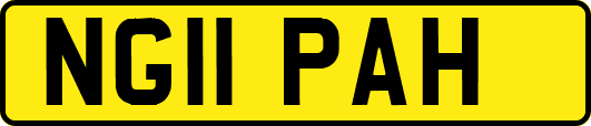 NG11PAH
