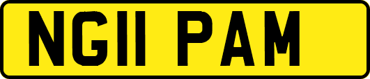 NG11PAM