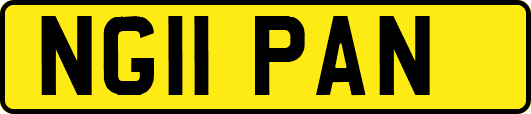 NG11PAN