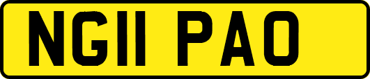 NG11PAO