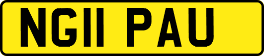 NG11PAU