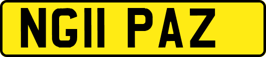 NG11PAZ